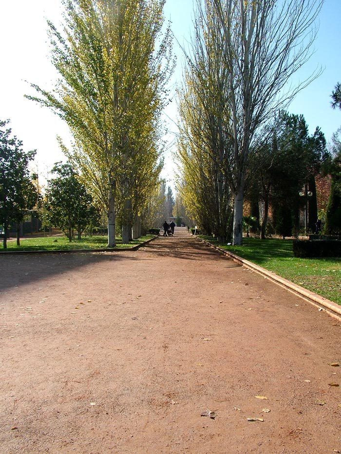 Moving to Granada with a Family