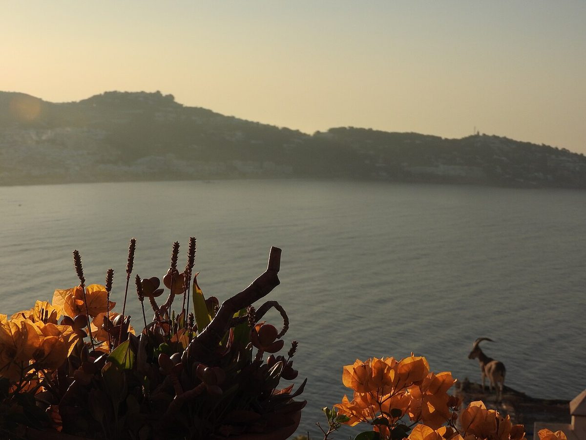 Living in La Herradura